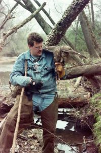 Falconry: Pure Natural Awesomeness Image